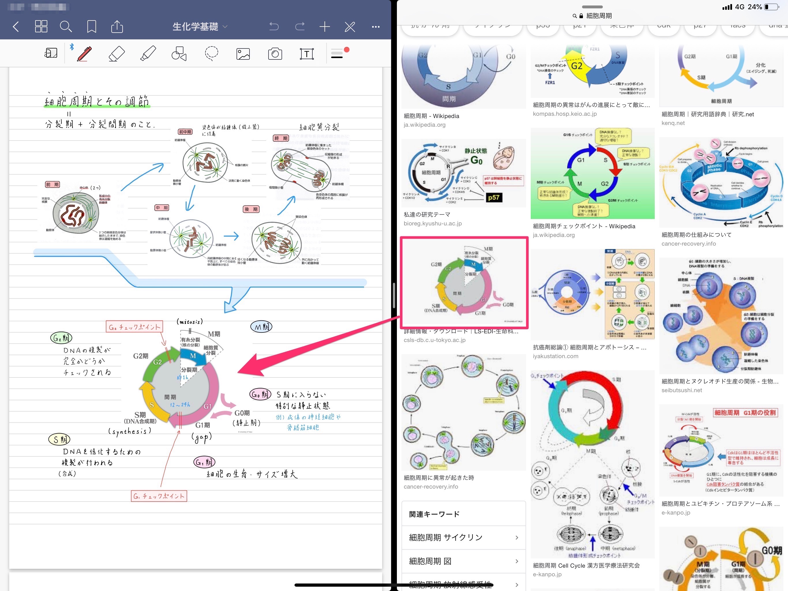 Ipadで手書きノートを取るならコレ 学生目線で Goodnotes 5 の使い方を紹介 Kissanadu