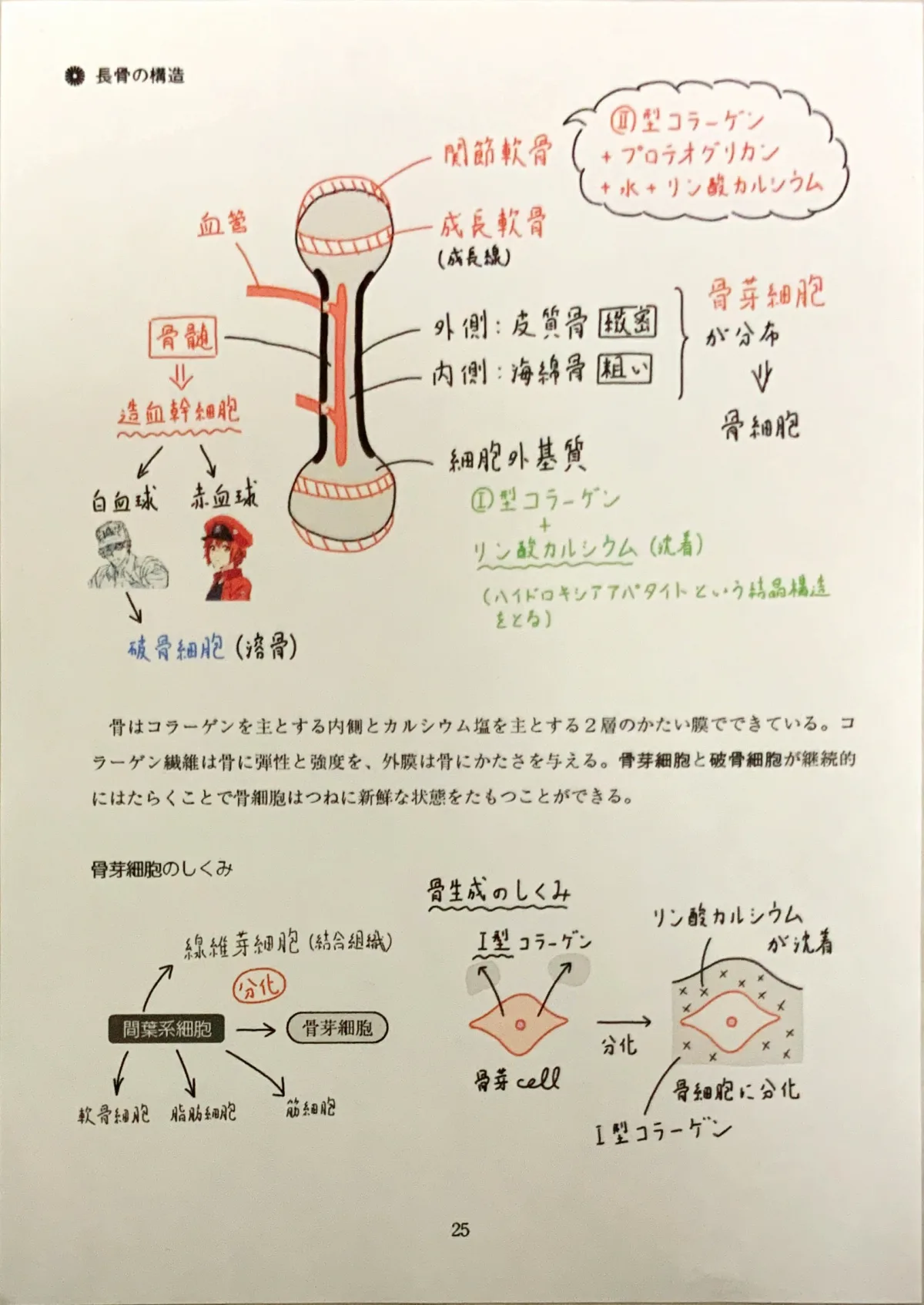 iPad活用術（勉強編） ： 学生におすすめのiPad・必須アプリをまとめて紹介