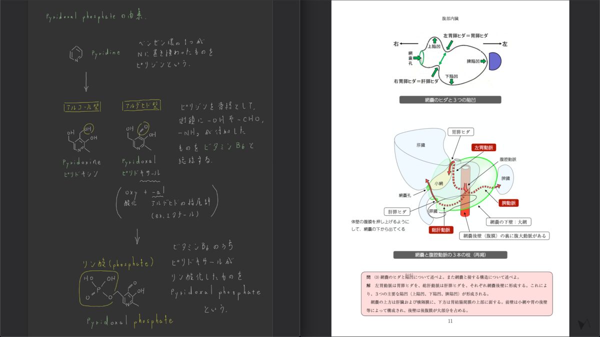 GoodNotes Mac版を使いこなすアイデア。   BetterTouchToolと組み合わせて最高の使い心地をGETしよう